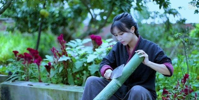 李子柒的生活理念_李子柒的技能_李子柒说生活技能是什么