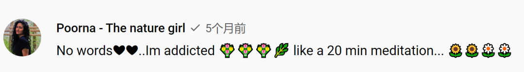 李子柒说生活技能是什么_李子柒的生活理念_李子柒的技能