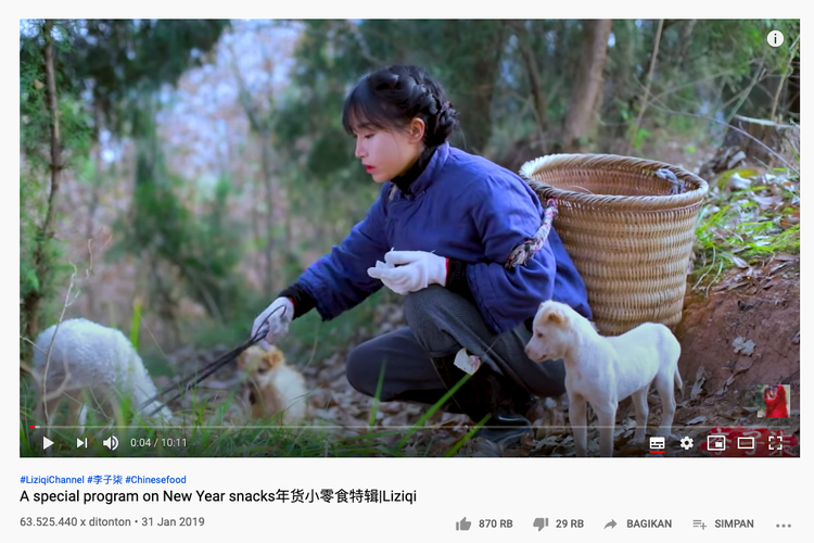 李子柒的技能_李子柒说生活技能是什么_李子柒的生活理念