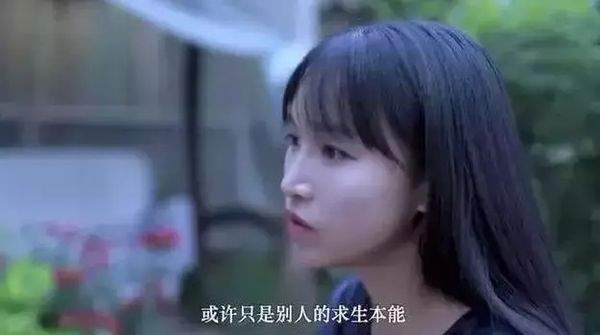 李子柒的生活理念_李子柒的技能_李子柒说生活技能是什么