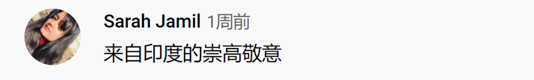 李子柒说生活技能是什么_李子柒的技能_李子柒的生活理念