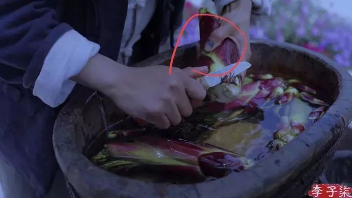 李子柒的技能_李子柒的生活理念_李子柒说生活技能是什么