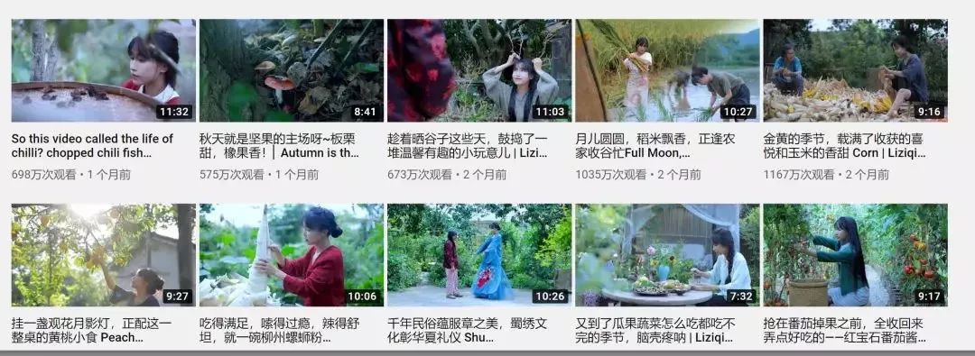 李子柒的生活理念_李子柒的技能_李子柒说生活技能是什么