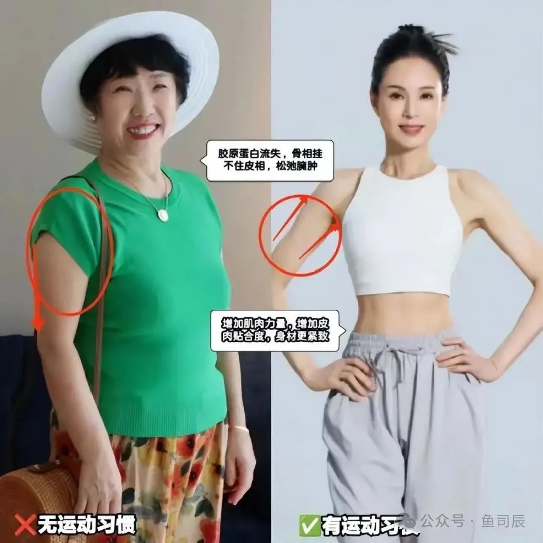 哪种运动适合健身房_健身房适合养什么植物_适合健身房的绿植