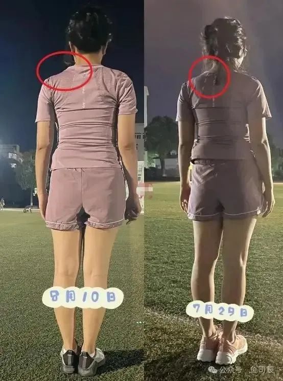 哪种运动适合健身房_适合健身房的绿植_健身房适合养什么植物