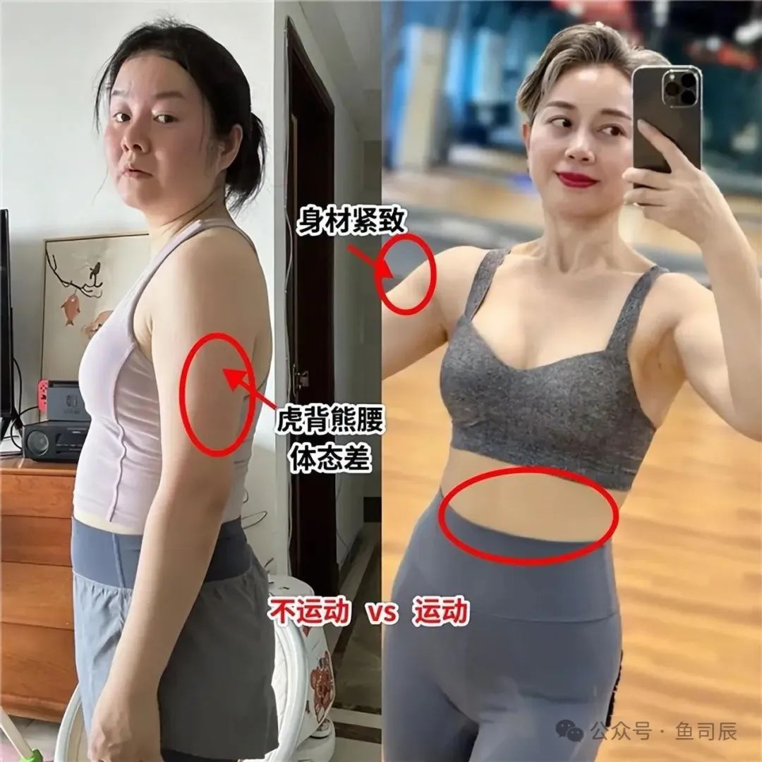 健身房适合养什么植物_适合健身房的绿植_哪种运动适合健身房