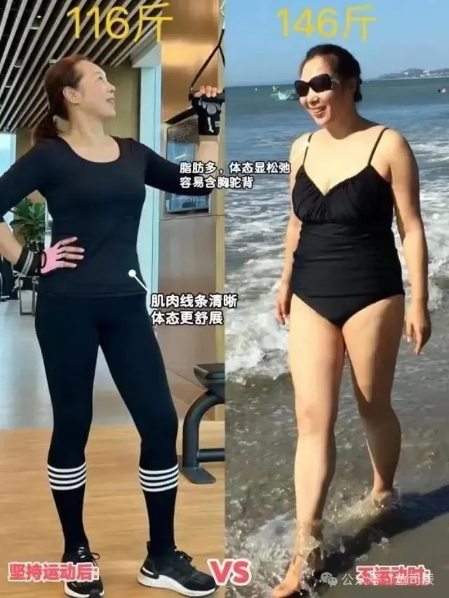 适合健身房的绿植_哪种运动适合健身房_健身房适合养什么植物