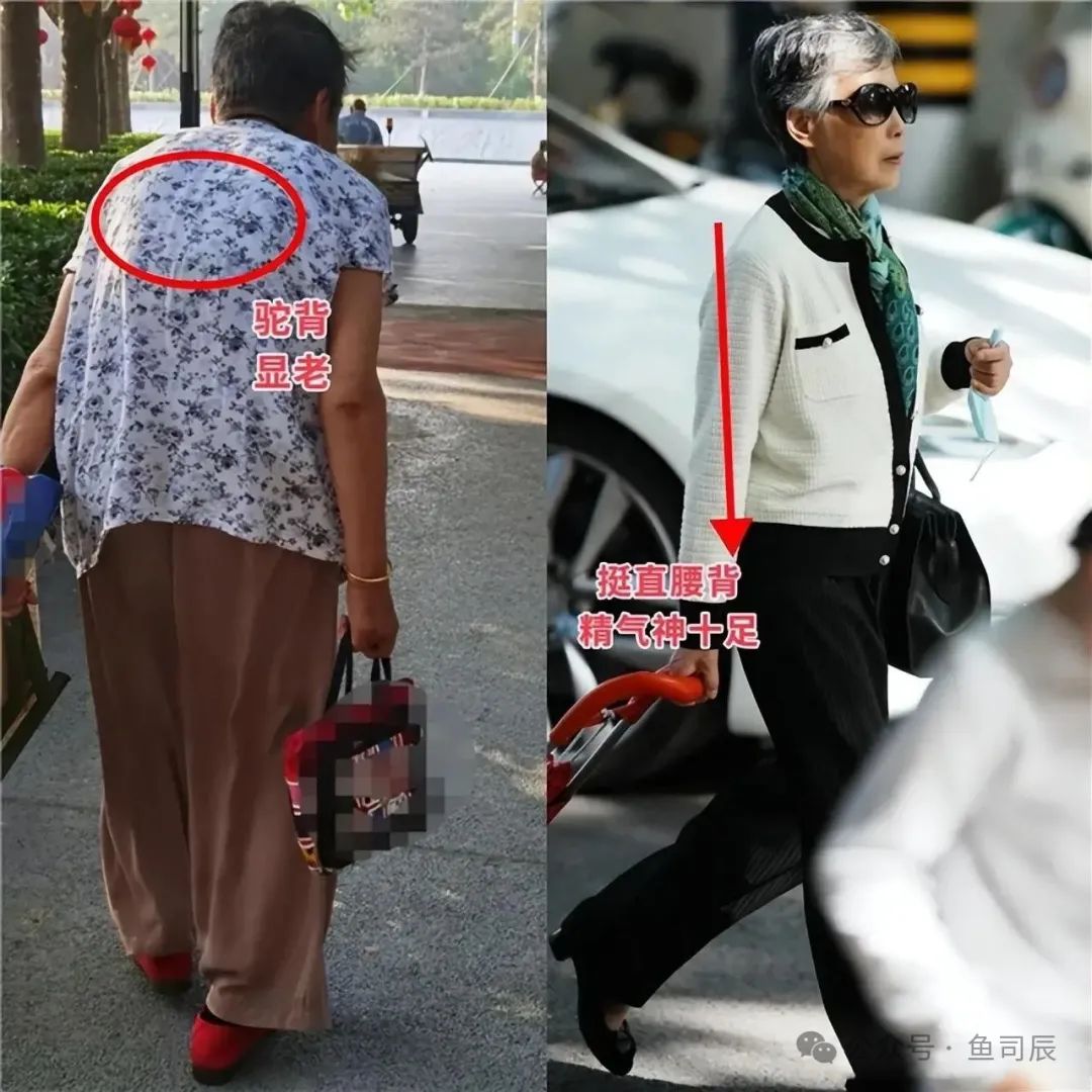 适合健身房的绿植_健身房适合养什么植物_哪种运动适合健身房