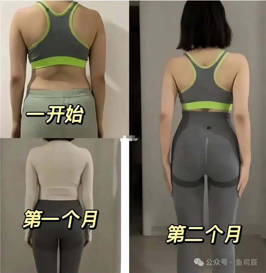 健身房适合养什么植物_哪种运动适合健身房_适合健身房的绿植