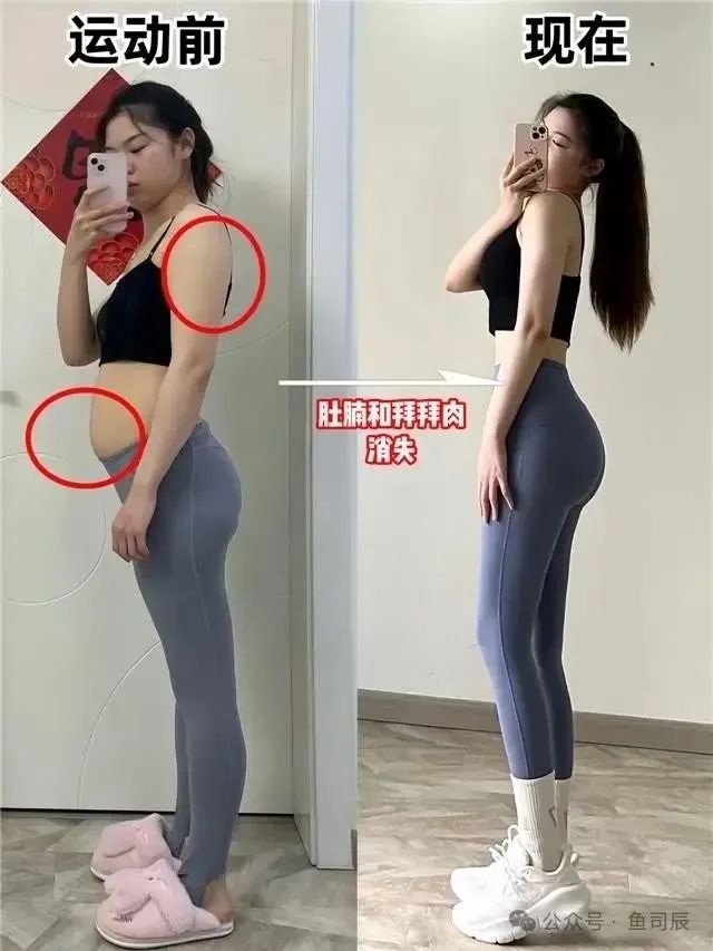 健身房适合养什么植物_哪种运动适合健身房_适合健身房的绿植