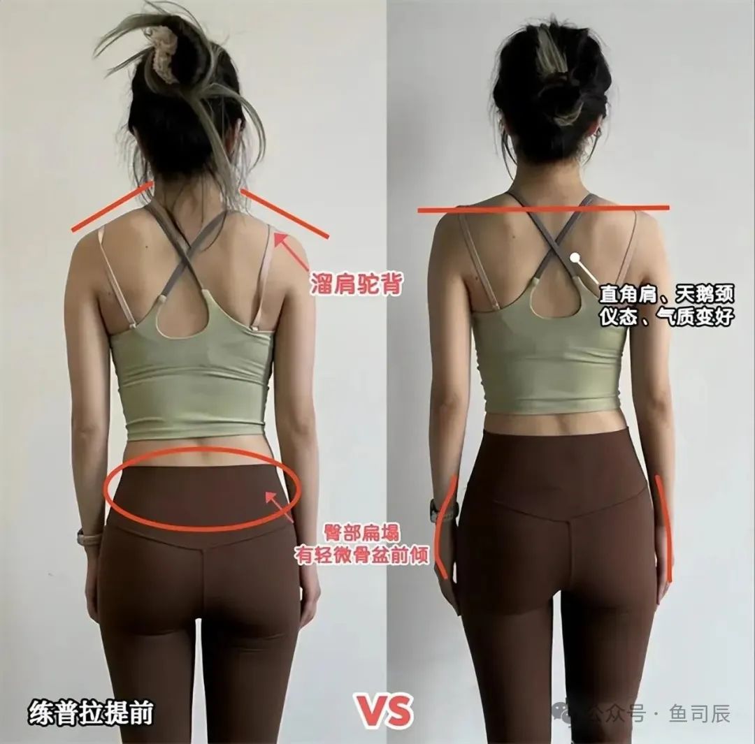 健身房适合养什么植物_哪种运动适合健身房_适合健身房的绿植