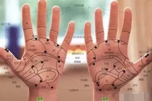 手掌图片唯美_亚健康手掌图片_手掌图片正常