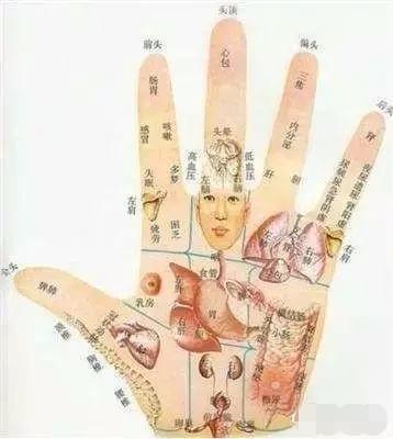 手掌图片唯美_手掌图片正常_亚健康手掌图片