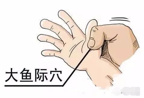 手掌图片唯美_亚健康手掌图片_手掌图片正常