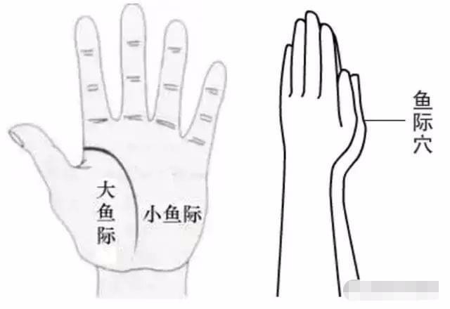 手掌图片唯美_手掌图片正常_亚健康手掌图片
